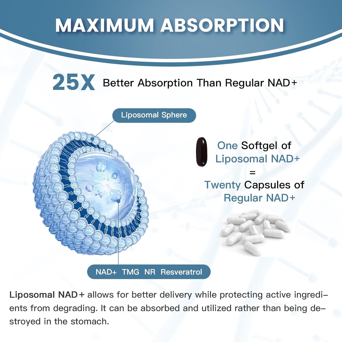 Levoya™ NAD+ Supplement 1800 mg