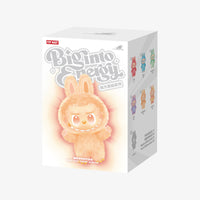 Single Box