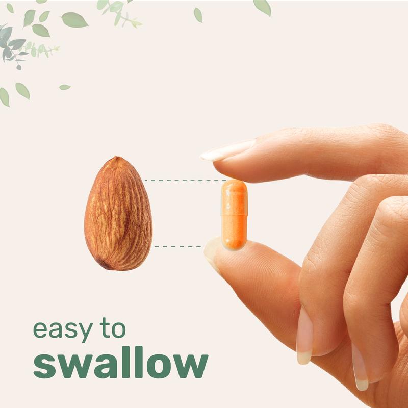 Levoya™ Turmeric Curcumin Capsules