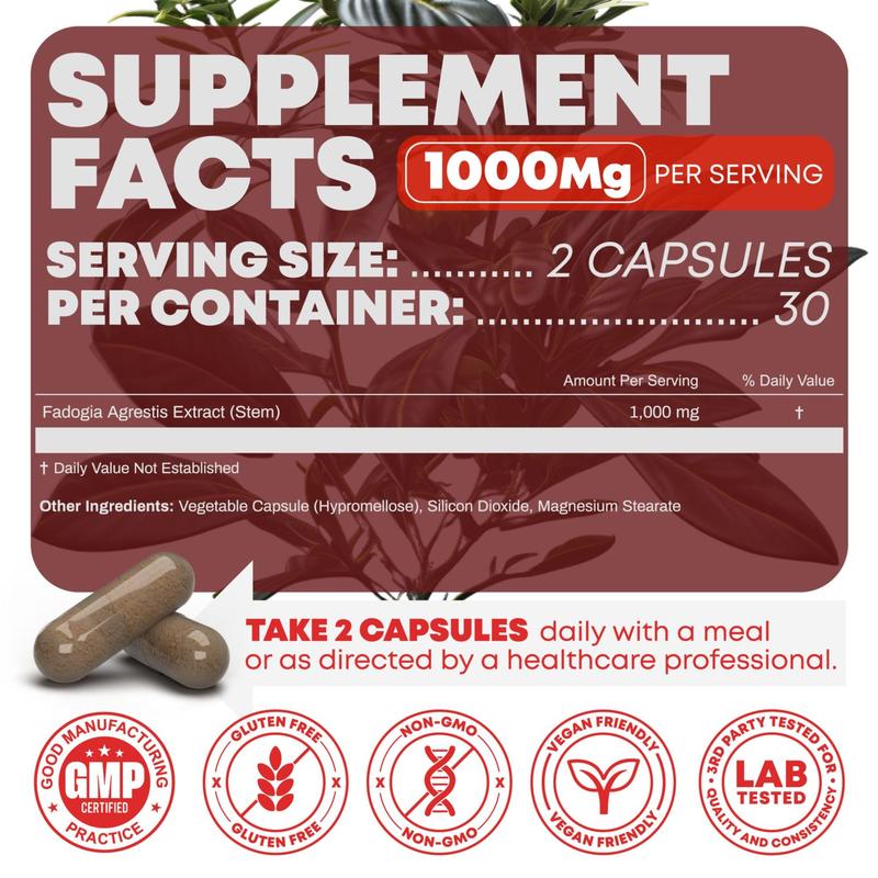 Levoya™ Fadogia Agrestis 1000mg