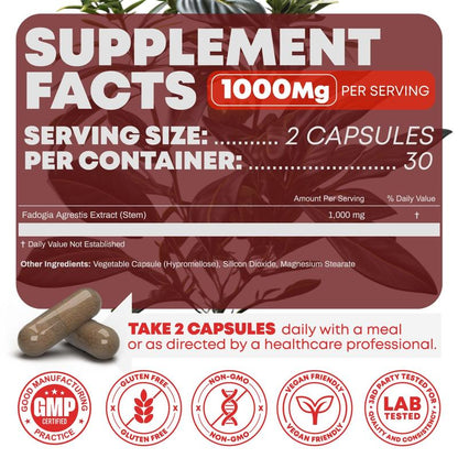 Levoya™ Fadogia Agrestis 1000mg